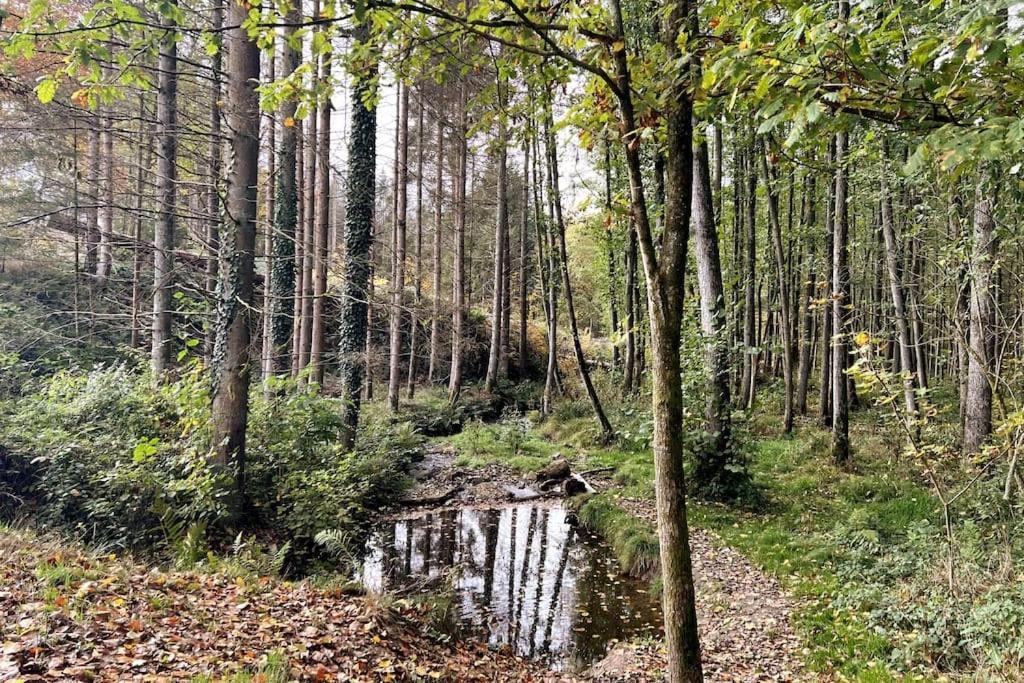 The Forest Retreat- Luxurioese Ferienwohnung Mit Privater Sauna Wermelskirchen Esterno foto